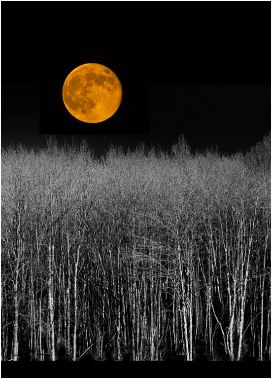 Red Moon Rising by Bruce Metzger