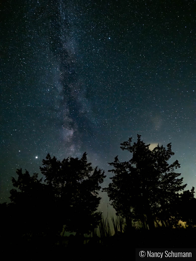 Rhode Island Milky Way by Nancy Schumann