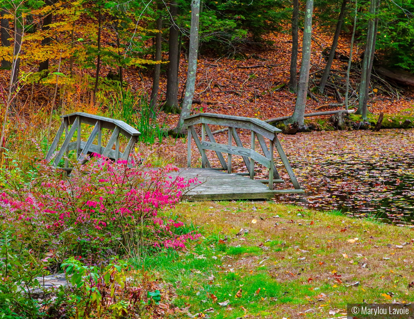 Rickety Bridge by Marylou Lavoie