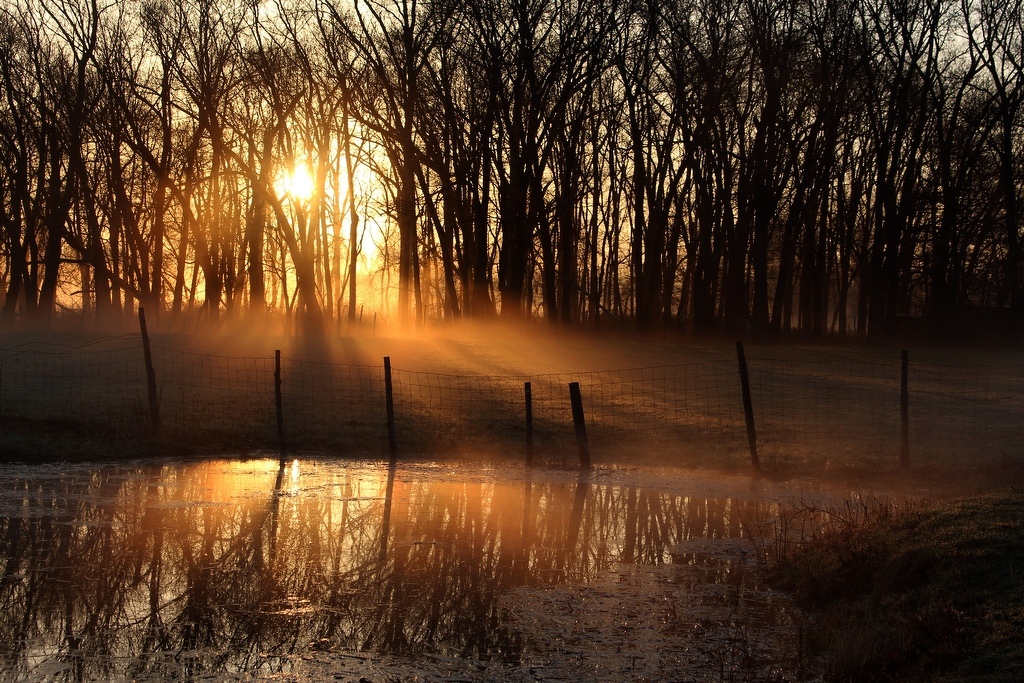 River Sunrise by William Latournes