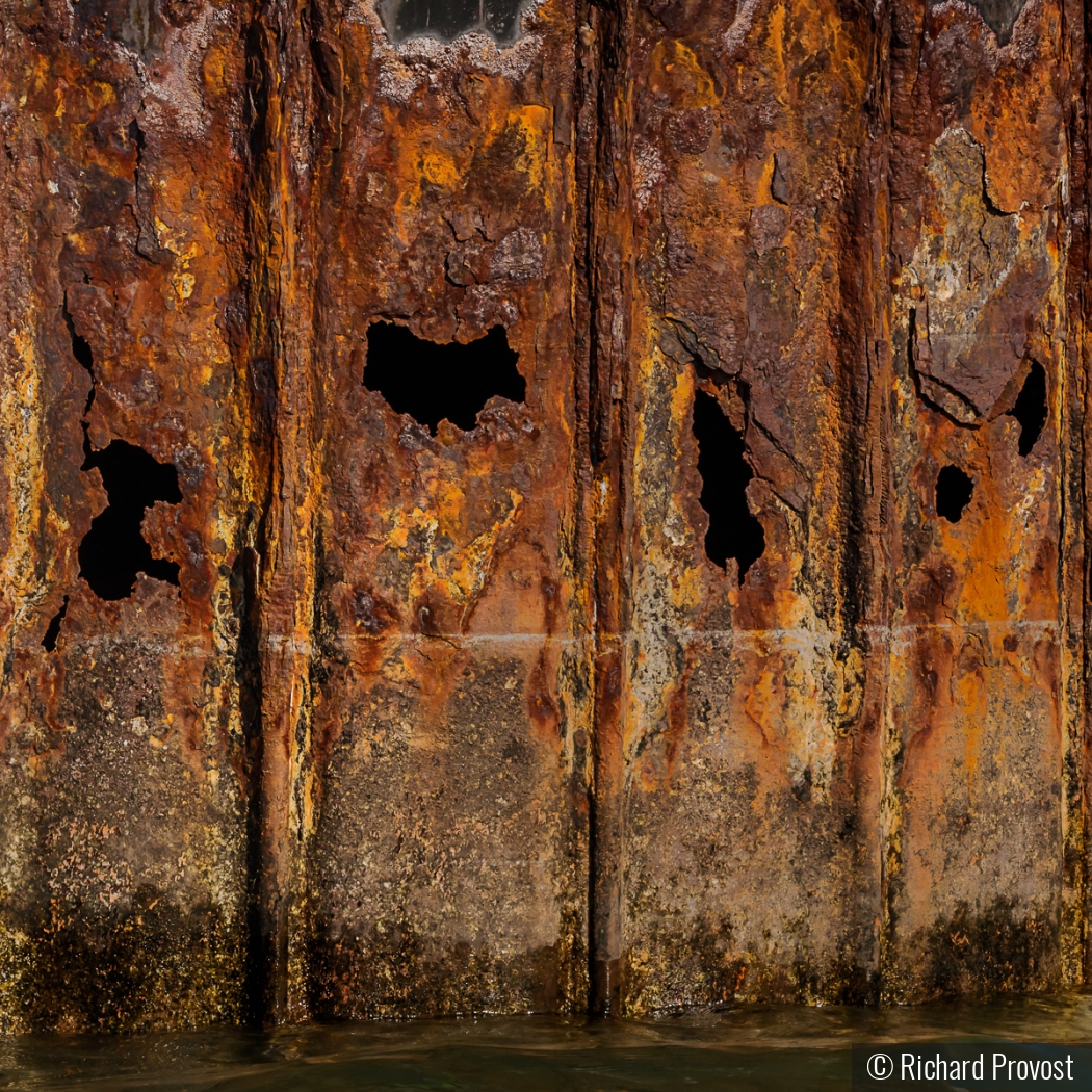 Rust taking over by Richard Provost