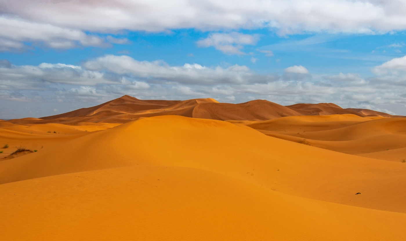 Sahara by Lou Norton