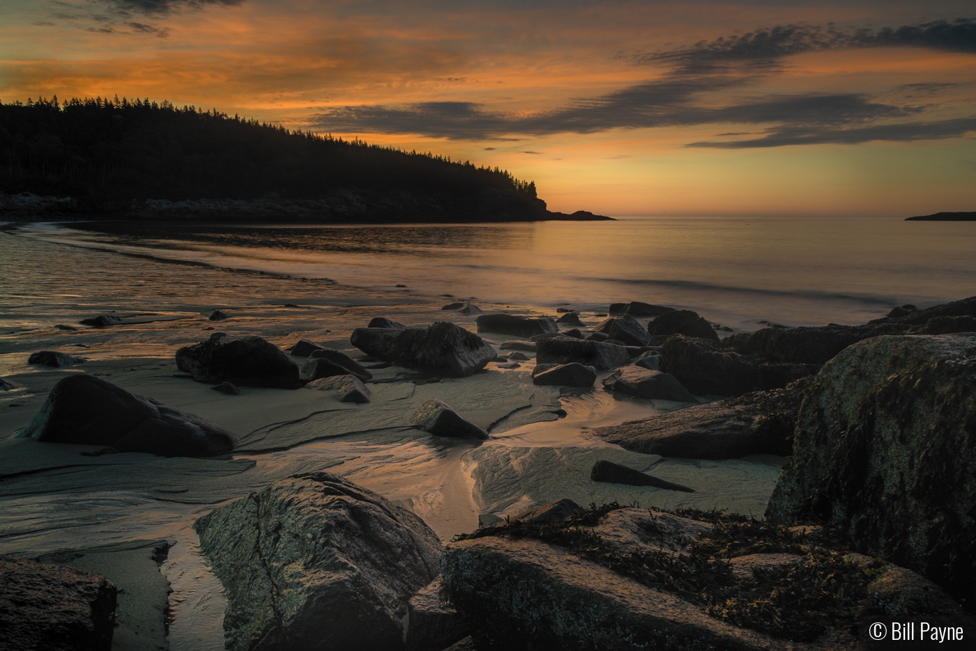 Sand Beach, Acadia National Park by Bill Payne