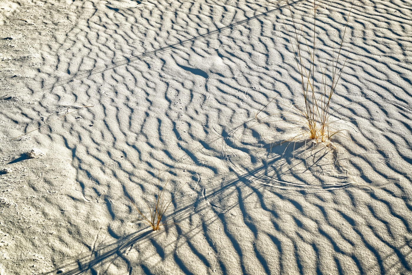Sand Patterns and Shadows by John McGarry