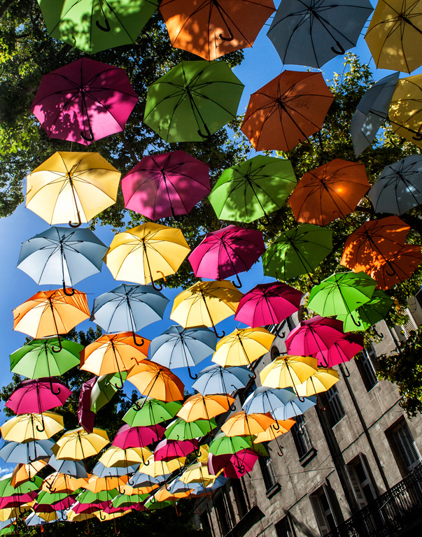 Saumurs Umbrellas by Donna Griffiths