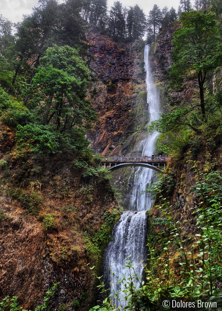 Scenic Multnomah Falls in Oregon by Dolores Brown