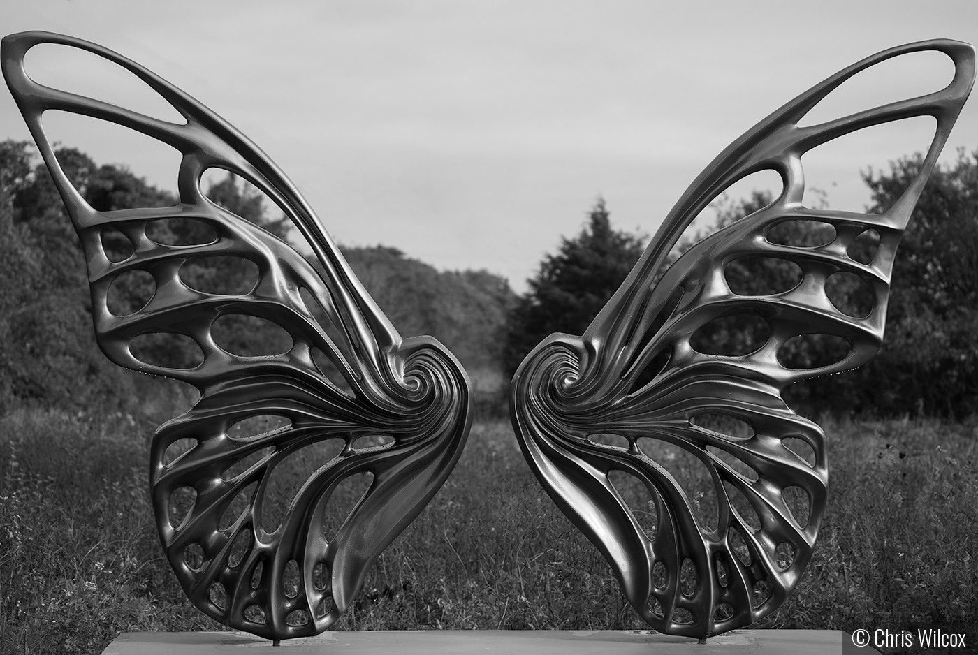 Sculpted wings by Chris Wilcox