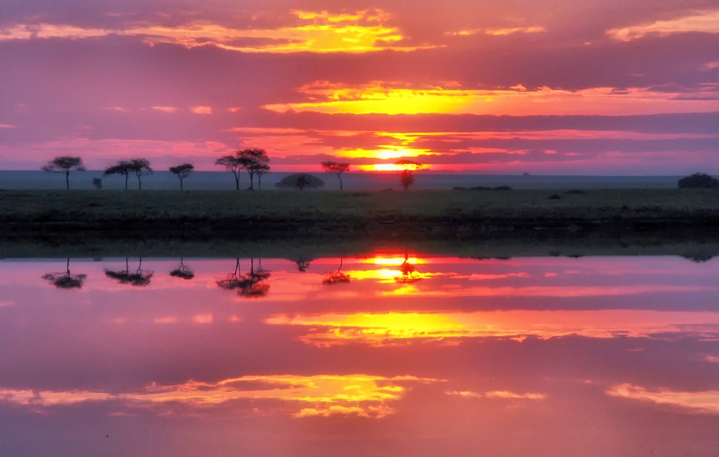 Serengeti Sunrise by Louis Arthur Norton