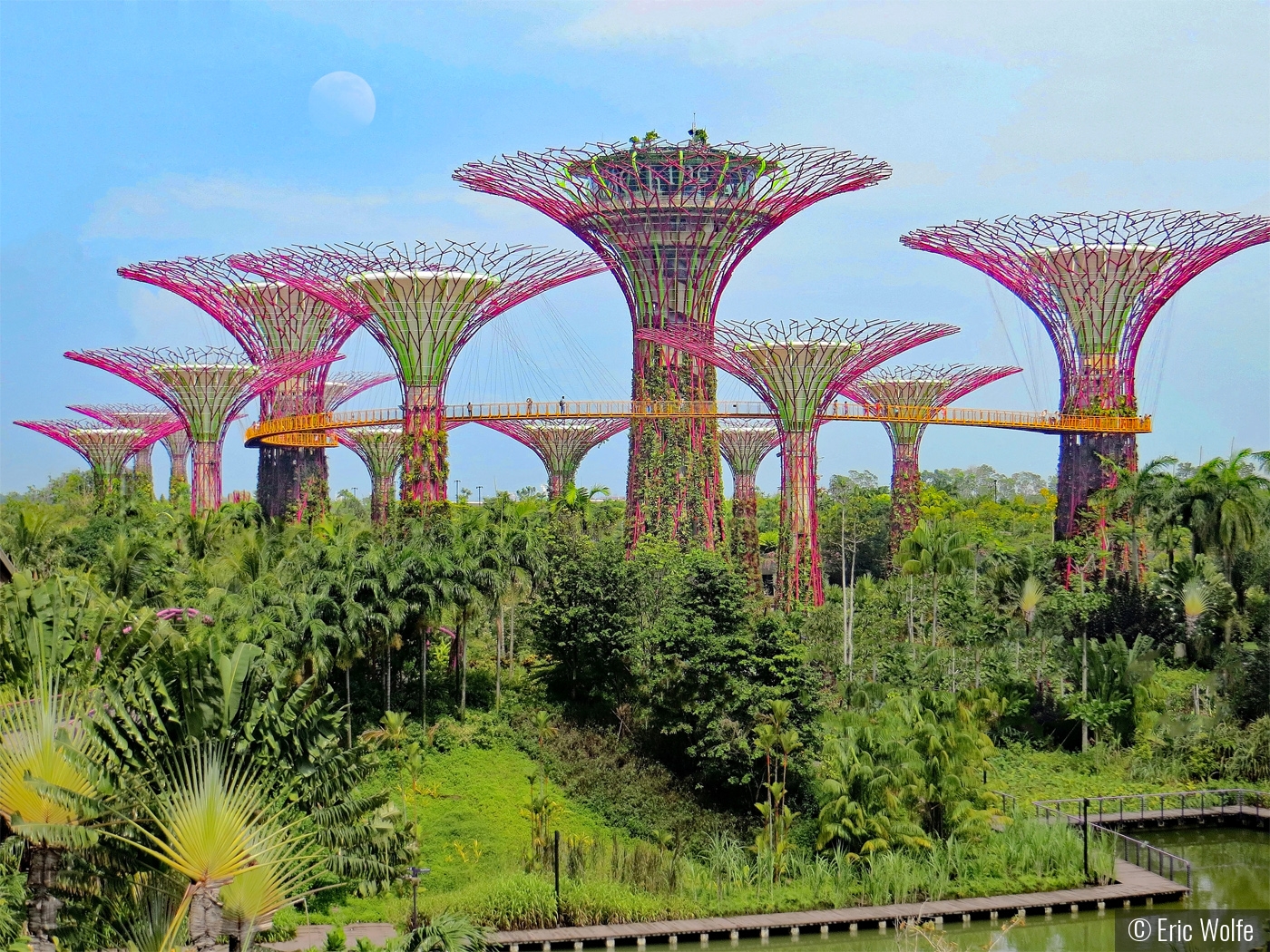 Seriously Surreal Singapore Supertrees by Eric Wolfe