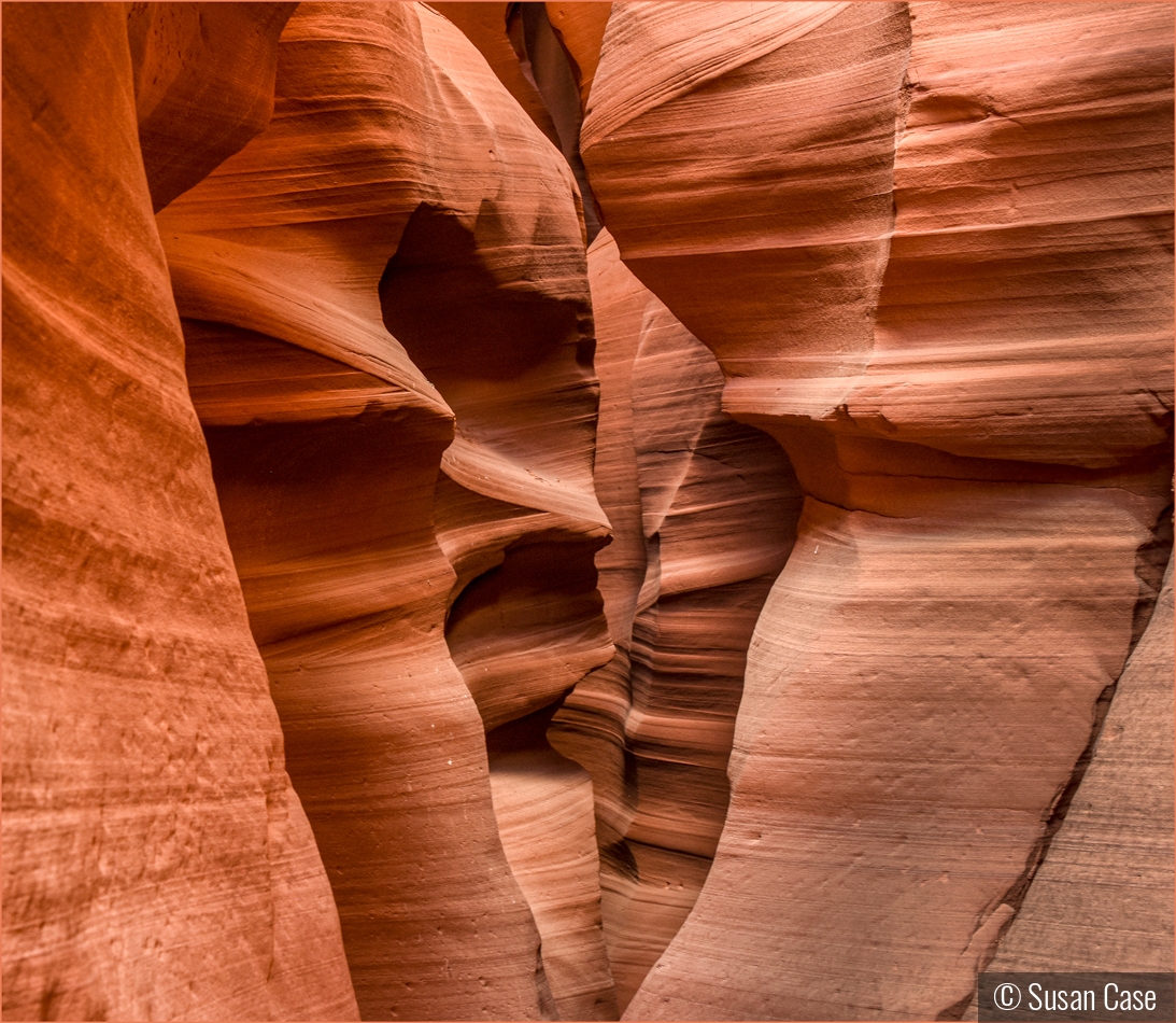 Shades of Orange - Antelope Canyon by Susan Case