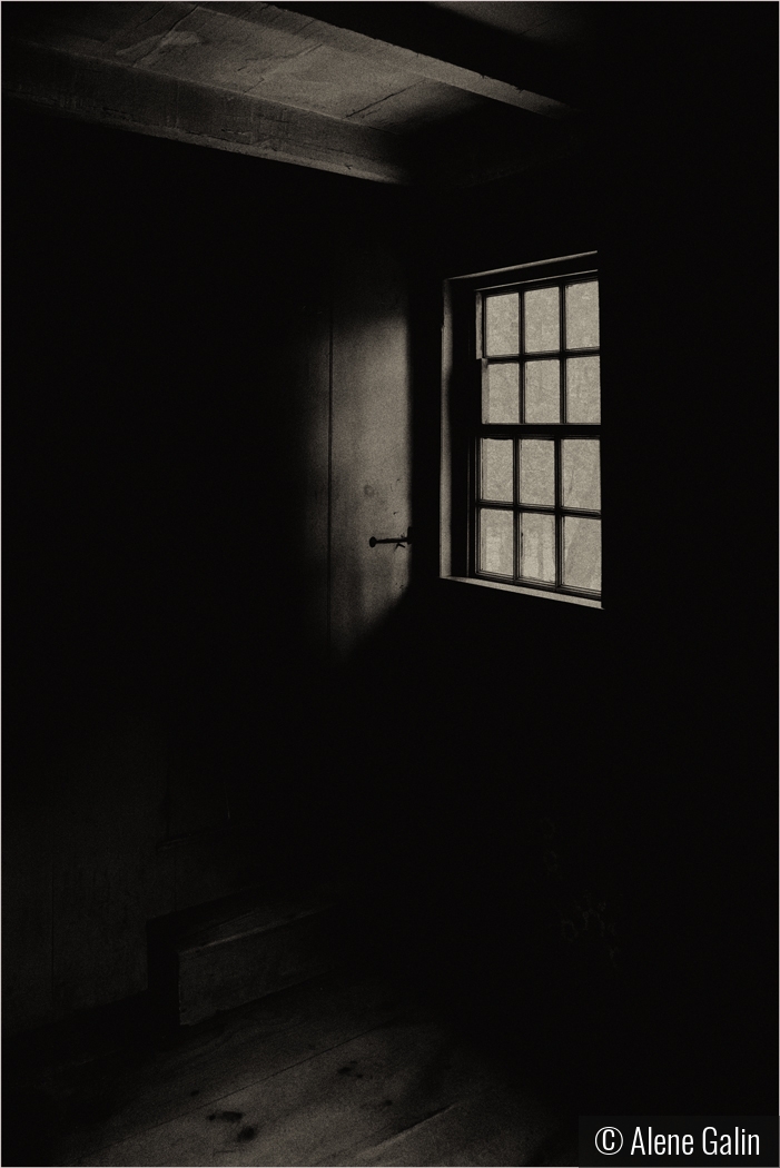 Shadow + Light by Alene Galin