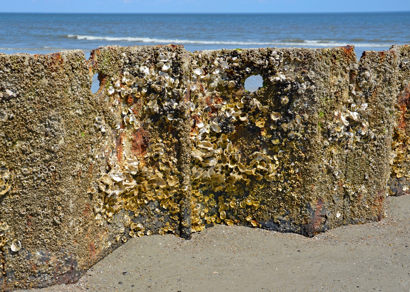 Shipwreck Steel On A Beach by Louis Arthur Norton