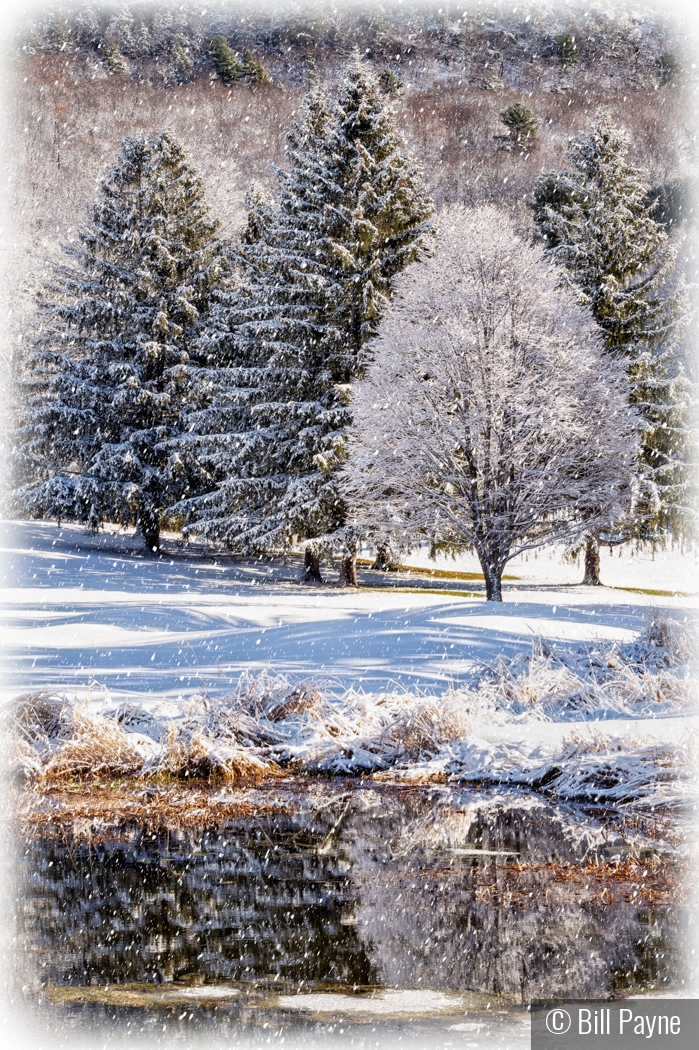 Snow, but no ice on the pond by Bill Payne