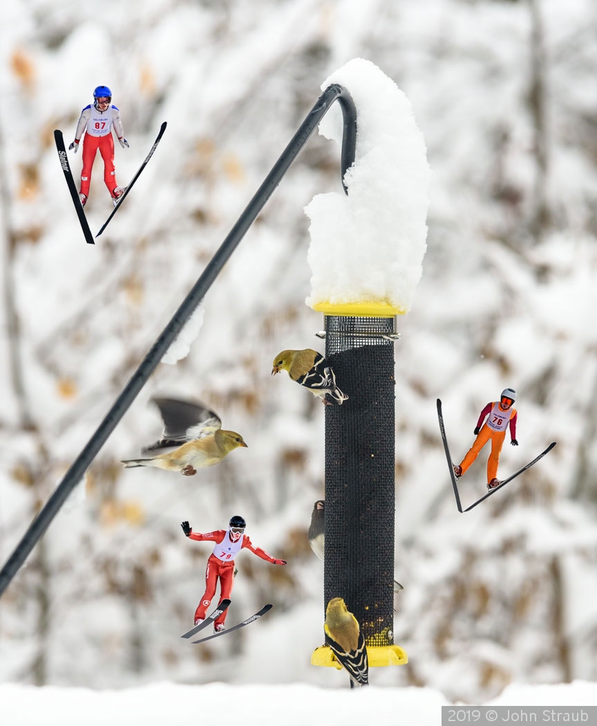 Snowbirds by John Straub
