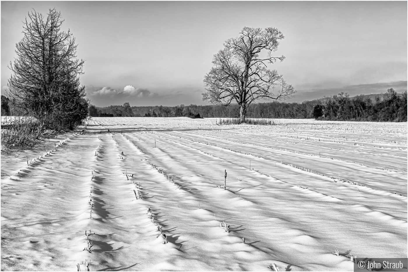 Snows on Rows by John Straub