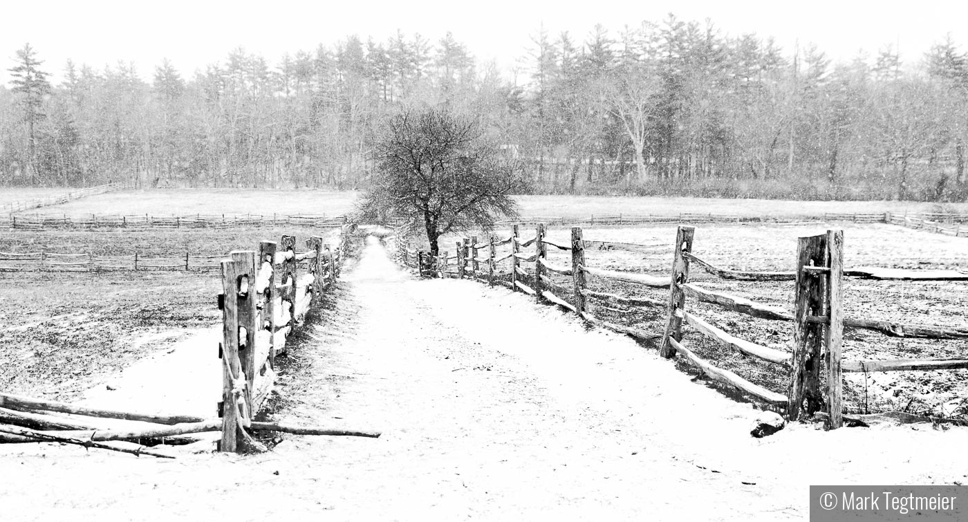 Snowy Field--Old Sturbridge by Mark Tegtmeier