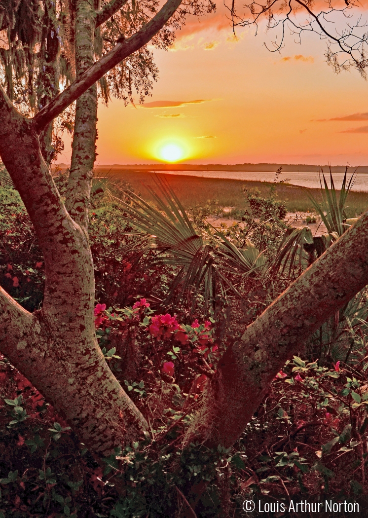 South Carolina Marsh At Sunset by Louis Arthur Norton