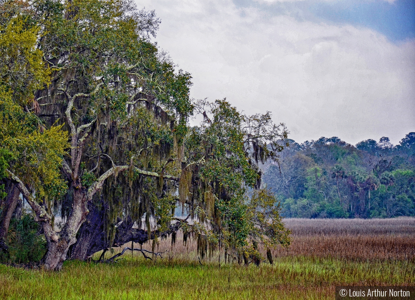 South Carolina Marsh by Louis Arthur Norton