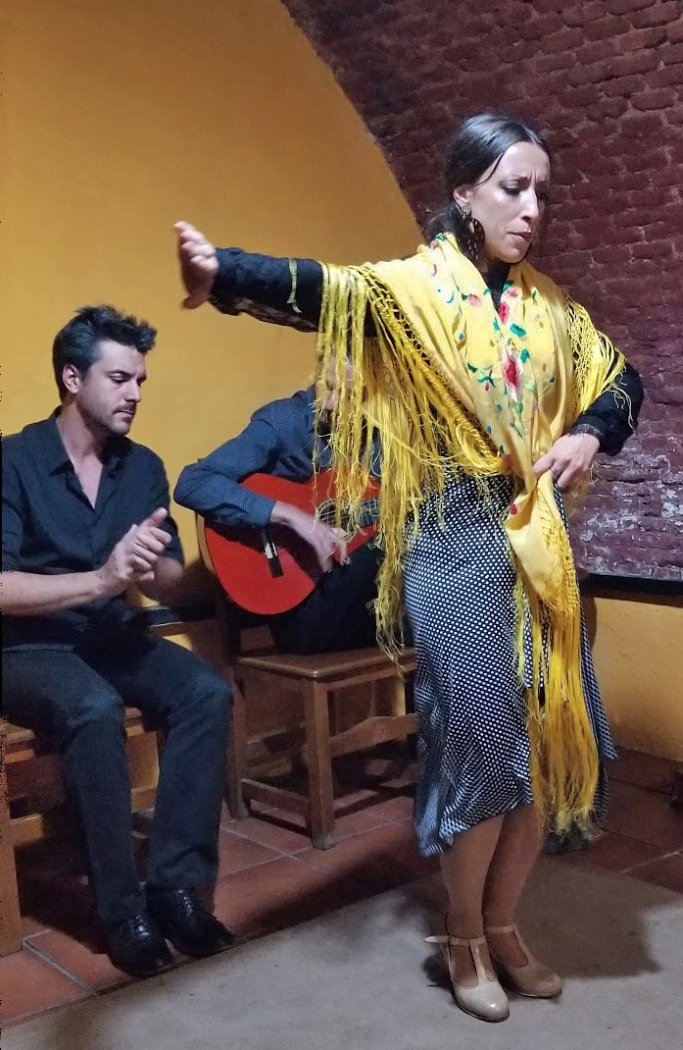Spanish Flamenco Dancer by Lou Norton