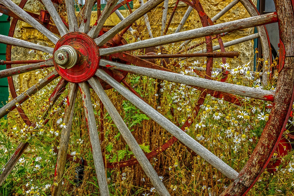 Spokes and Daisies by John McGarry
