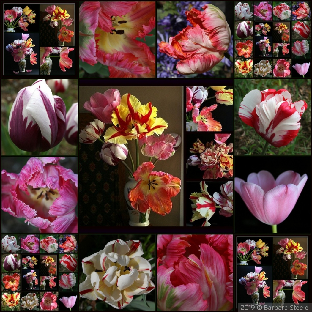 Spring Garden Collage by Barbara Steele