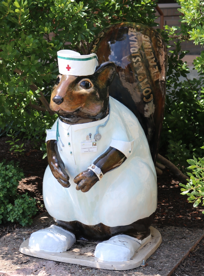 squirrely nurse by Harold Grimes
