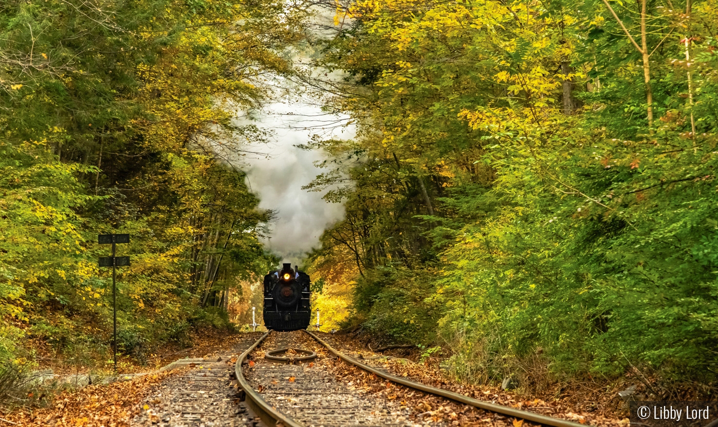 Steaming down the tracks by Libby Lord