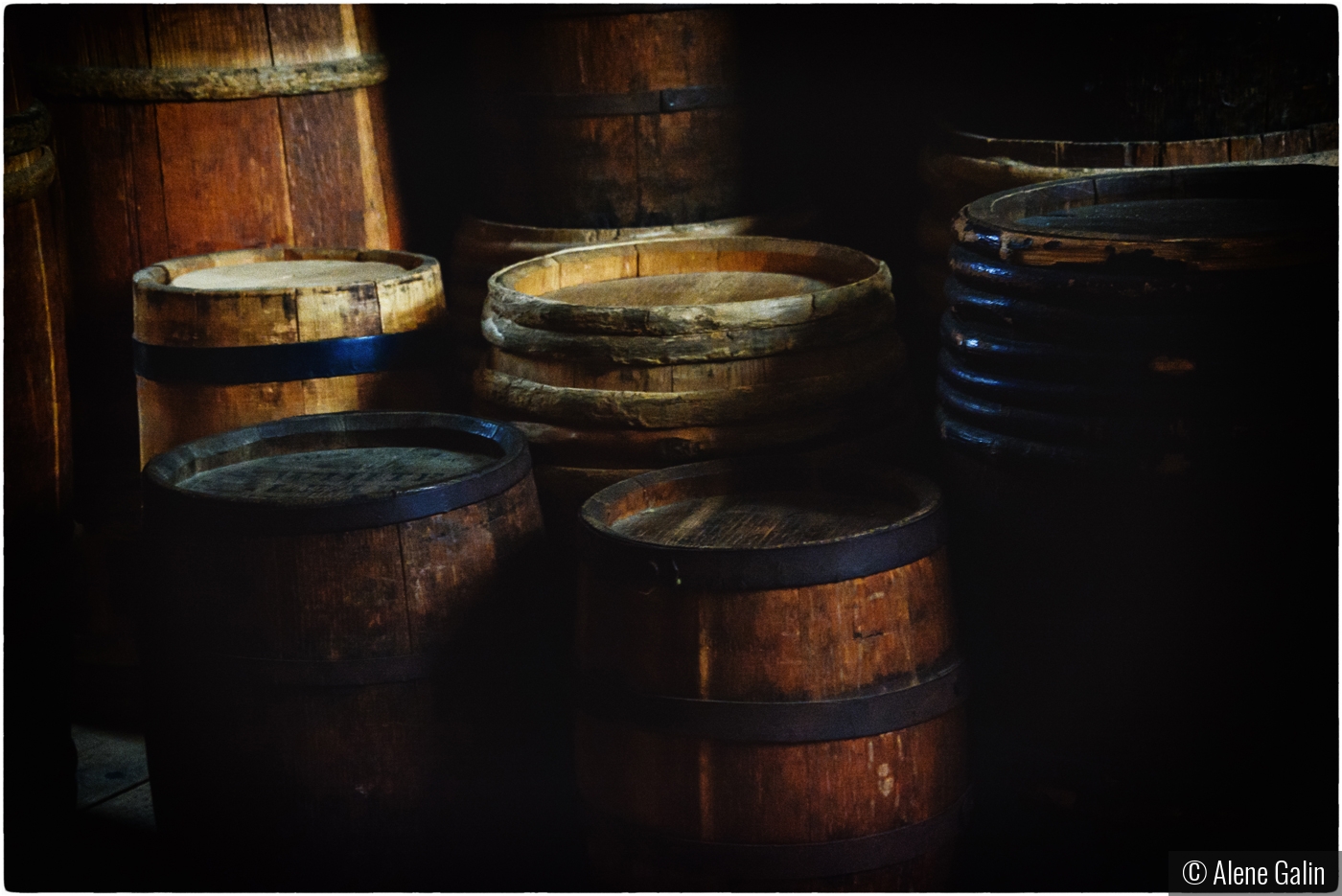 Still Life with Barrels by Alene Galin