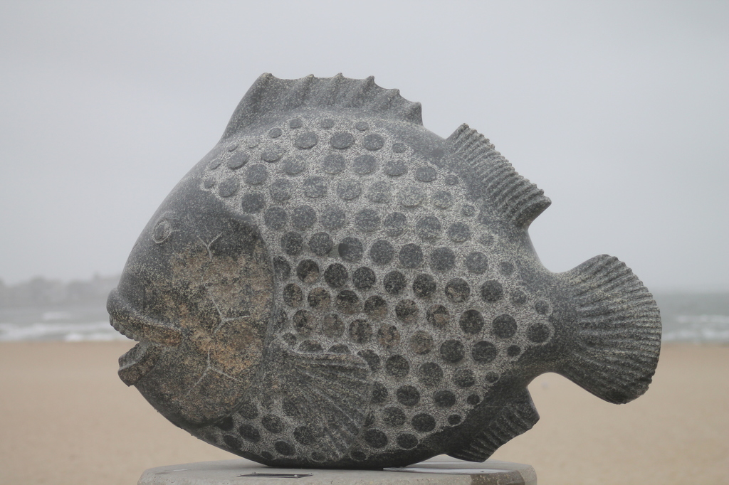 Stone Fish by James Haney