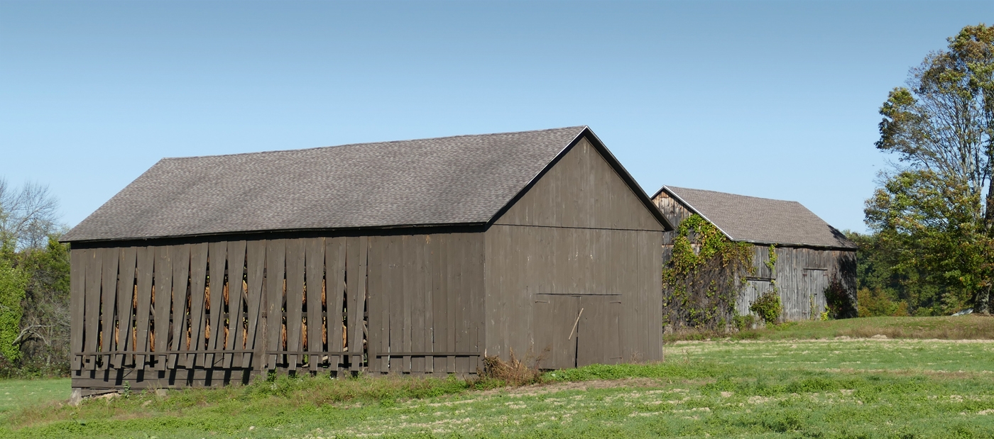 Suffield Tobacco Barns by Bruce Metzger
