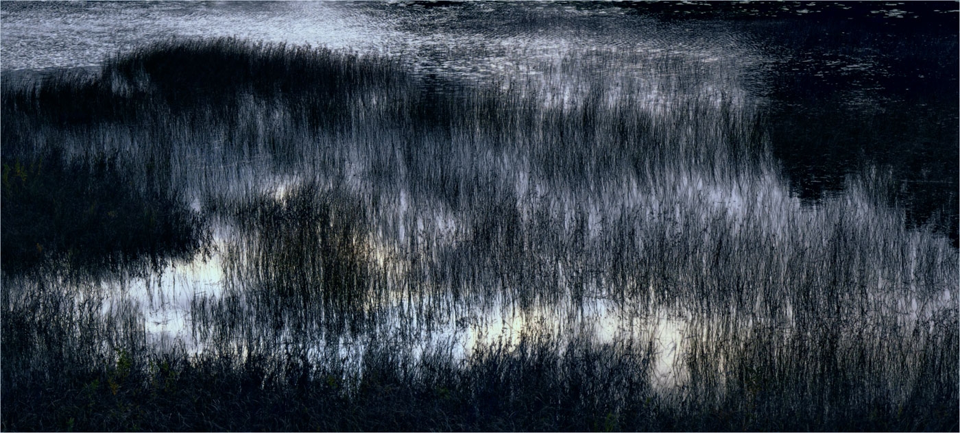 Sunset Reflecting in Marsh by Alene Galin