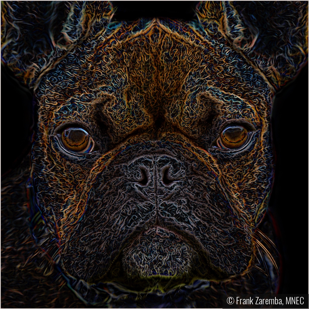 The Atomic Dog by Frank Zaremba, MNEC