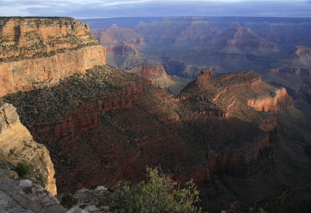 The Canyon at Sunrise by Barbara Steele