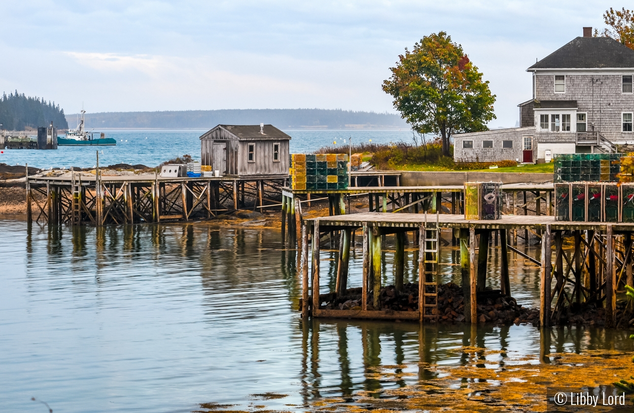 The Docks at Bar Harbor by Libby Lord