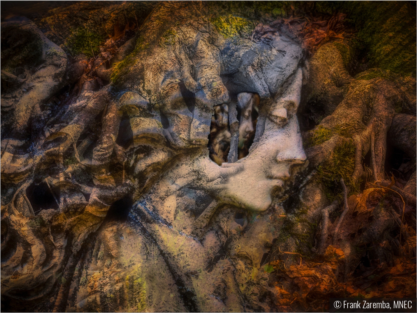 The Lady Of The Forest by Frank Zaremba, MNEC