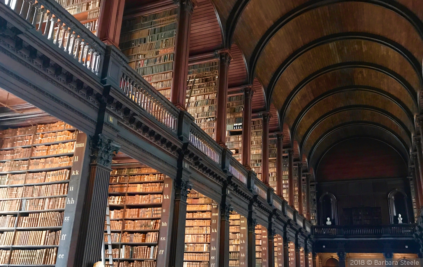 the Long Room, Trinity College, Dublin by Barbara Steele