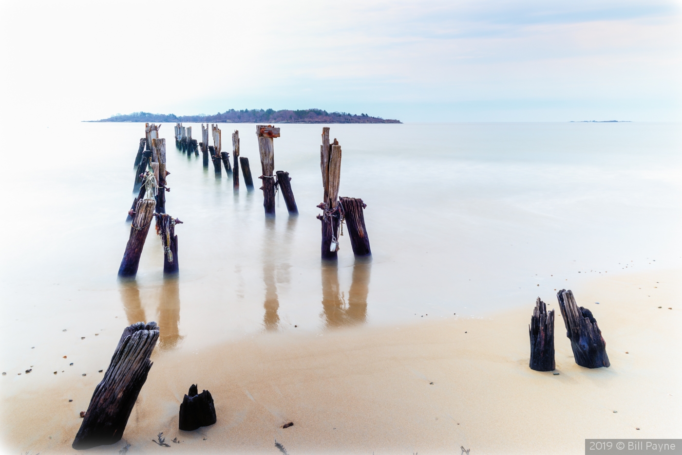 The Old Dock's Pilings by Bill Payne