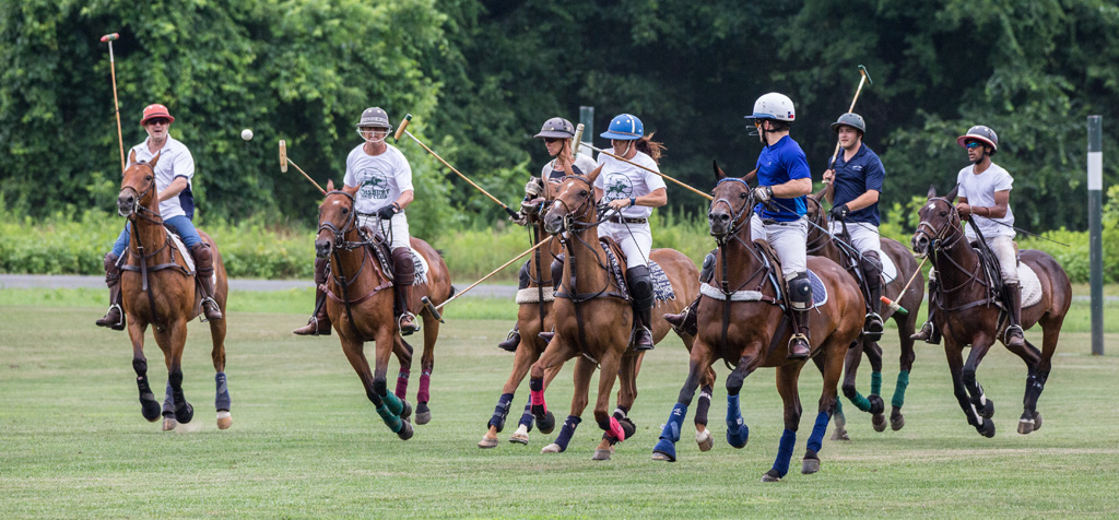 The Polo Match by Susan Poirier