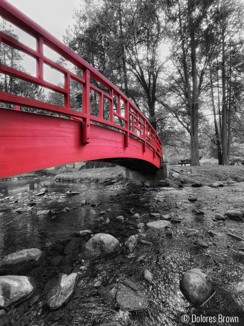 The Red Bridge by Dolores Brown