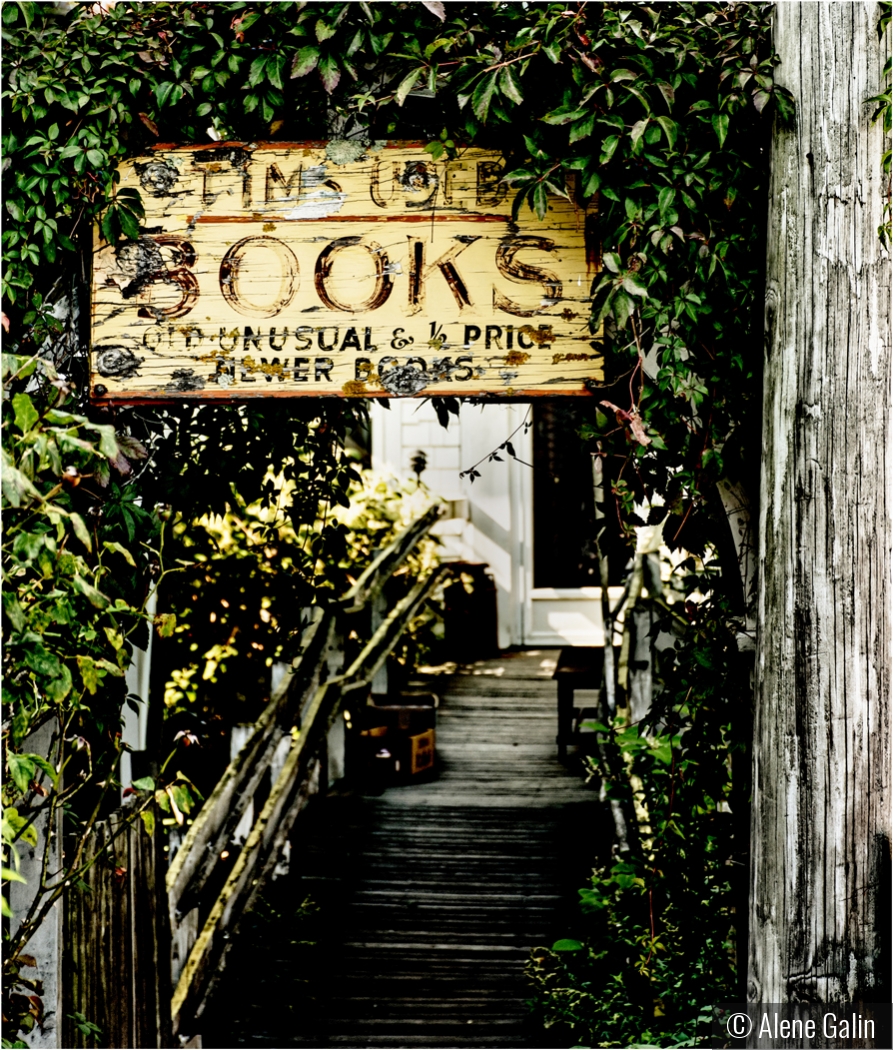 Tim's Books Provincetown by Alene Galin