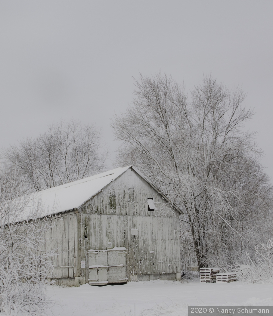 Tobacco barn after a snowstorm by Nancy Schumann