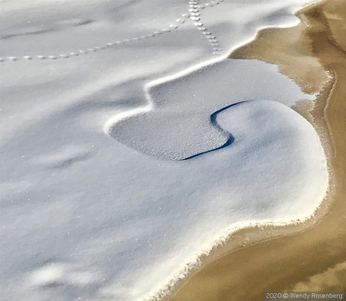 tracks in the snow by Wendy Rosenberg