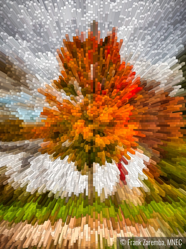 Tree in Autumn by Frank Zaremba, MNEC