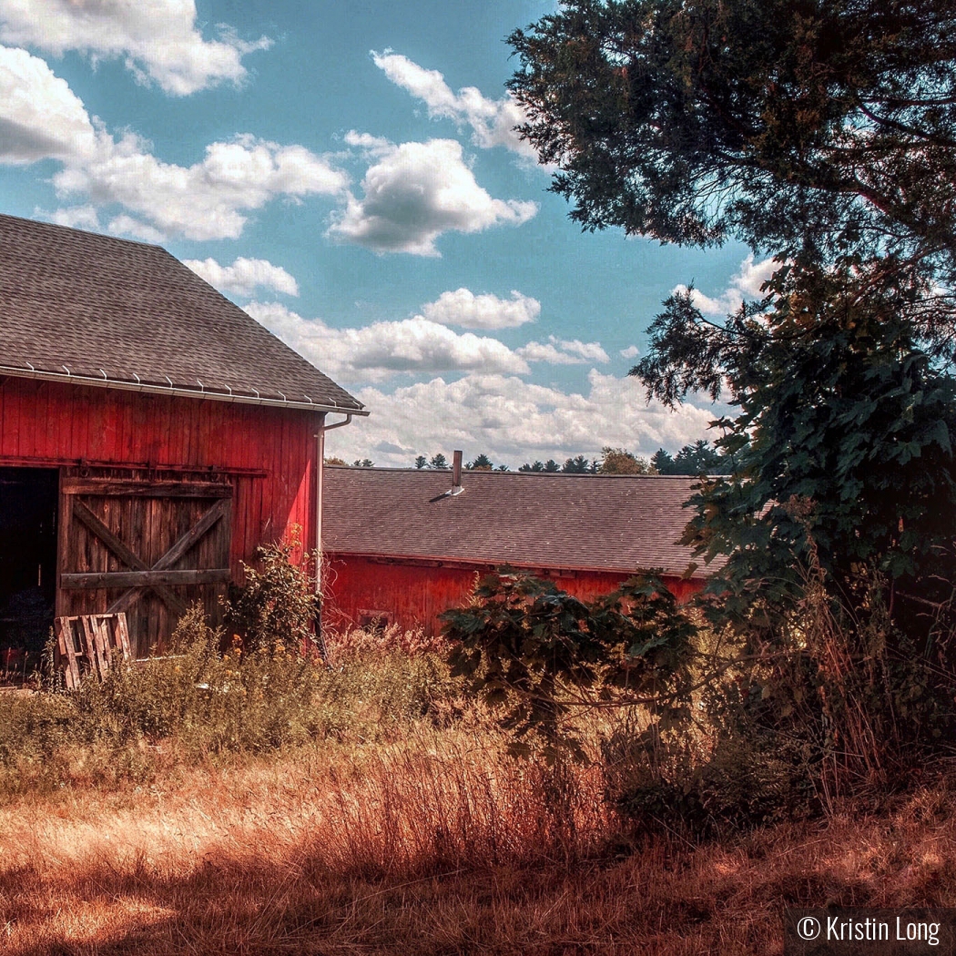 Tulmeadow Barn by Kristin Long