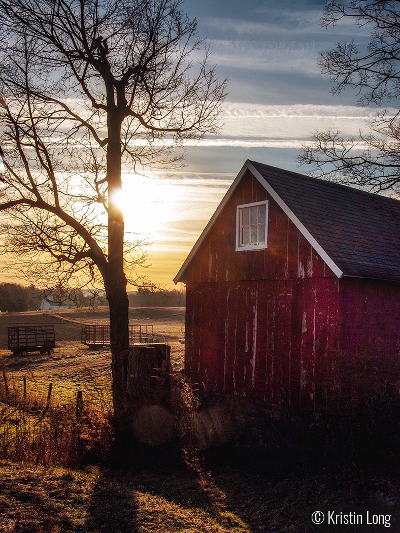 Tulmeadow Farm, Sunrise by Kristin Long