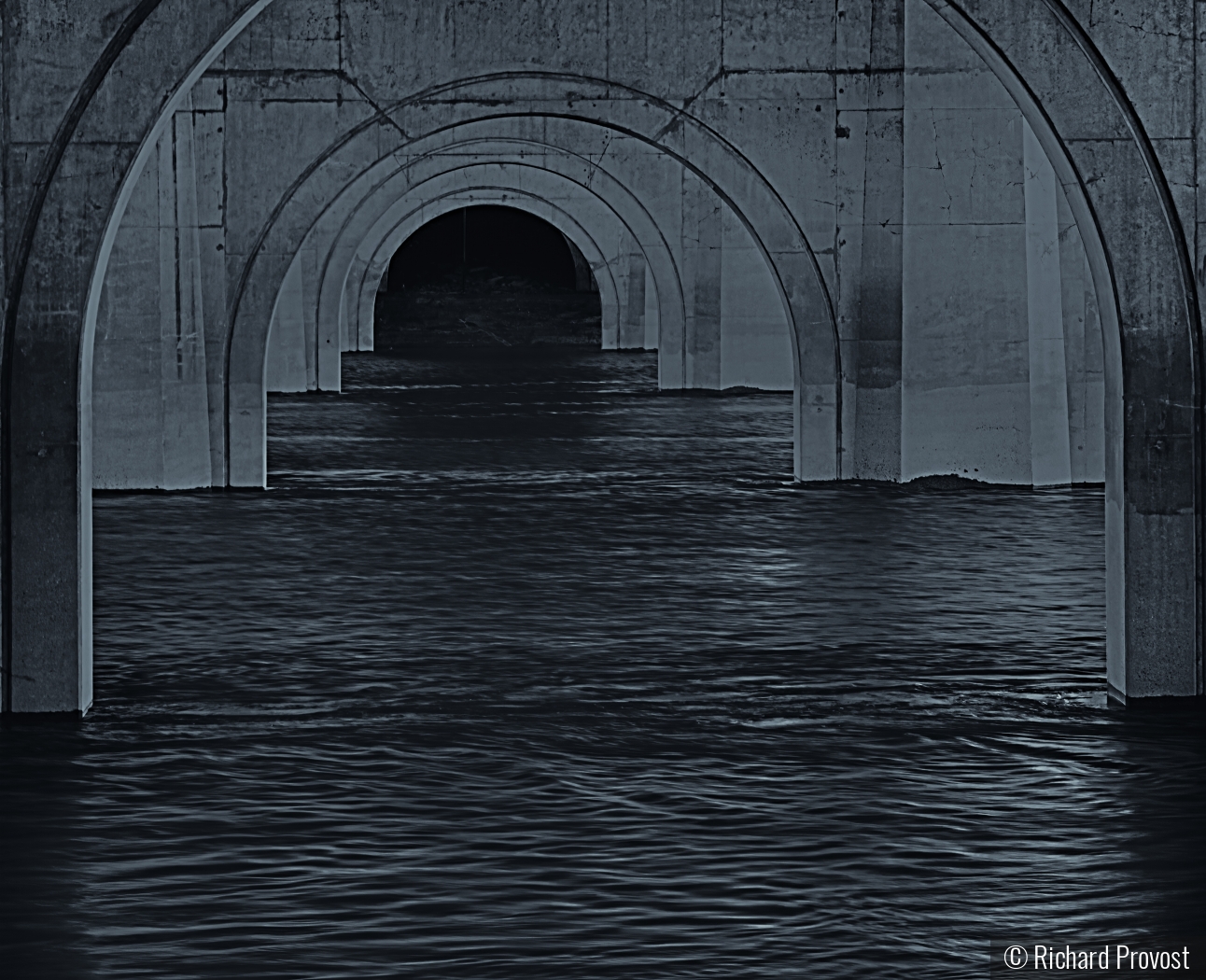 Under the bridge by Richard Provost