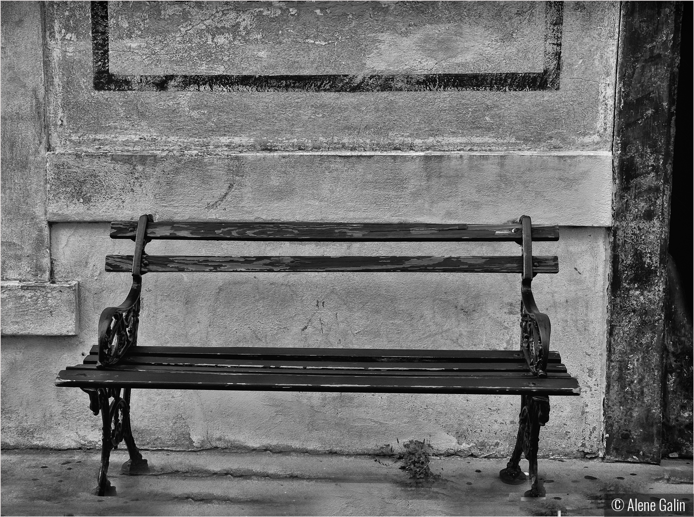Vacant Bench by Alene Galin