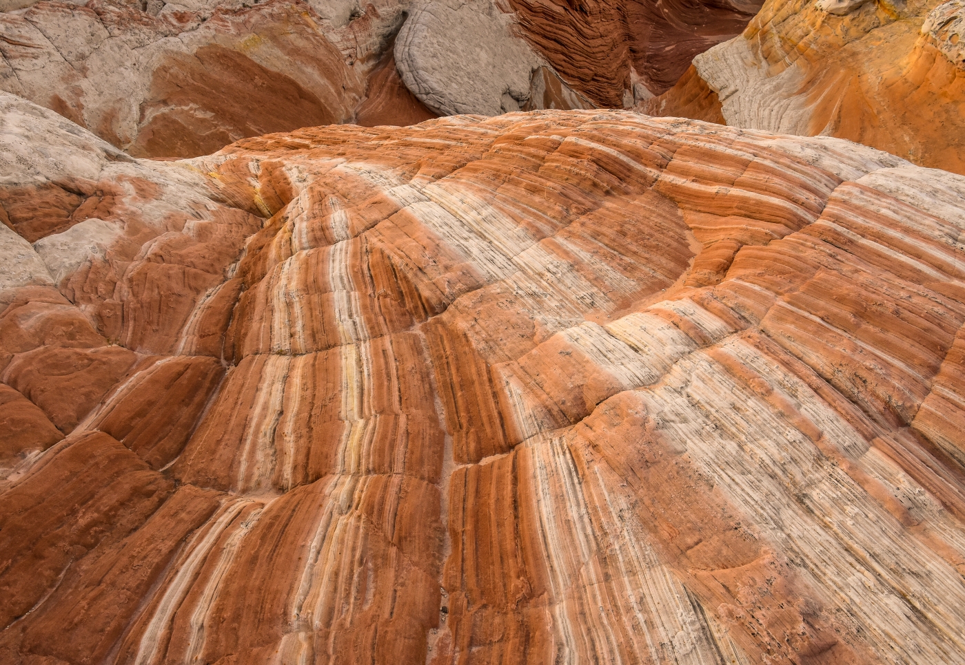 Vermilion Ribbons - Vermilion Cliffs National Monument, AZ by Susan Case