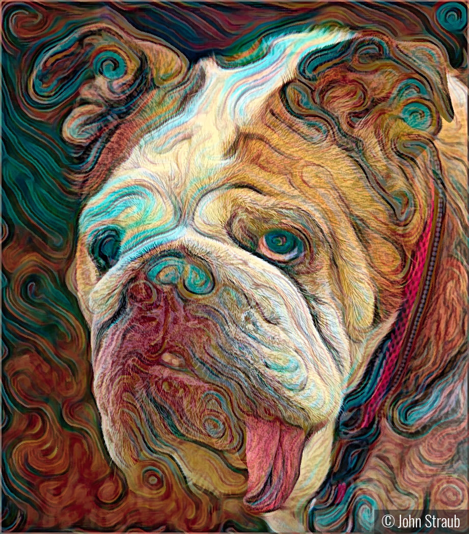 Vincent van Gogh's Bulldog by John Straub