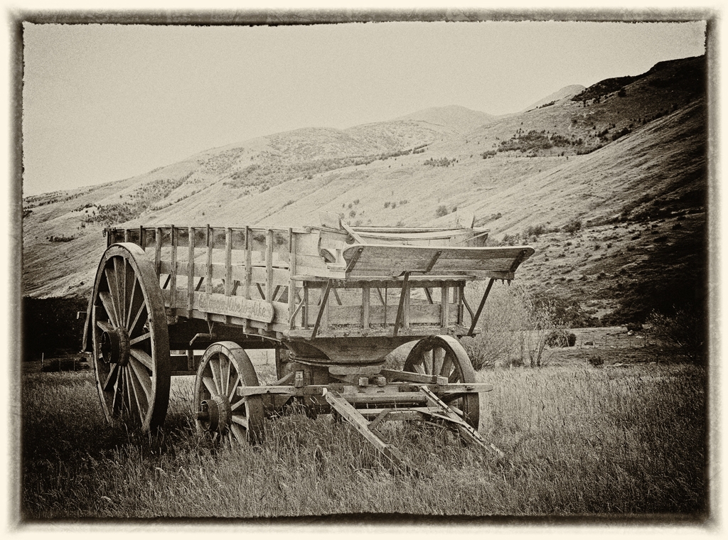 Wagon In A Field In Hill Country by Lou Norton